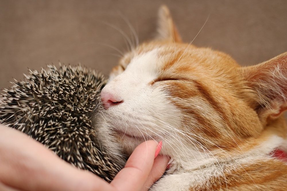 Photograph by Nurlan Tahirli