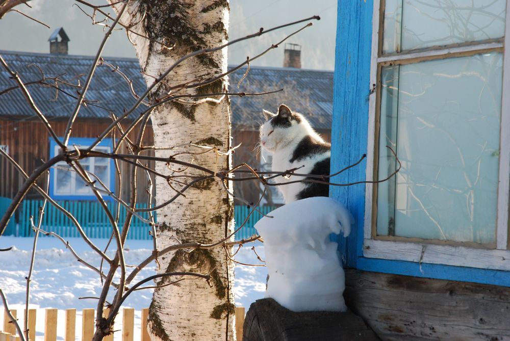 Photograph by Юрий Тимофеев