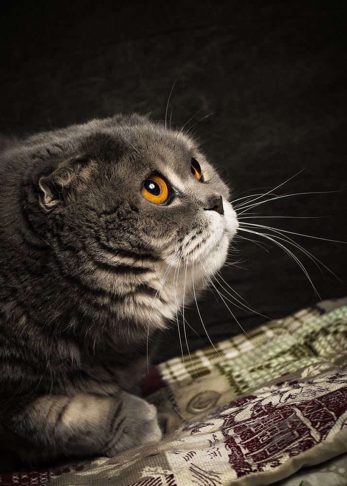 Photograph by Юлия Калугина