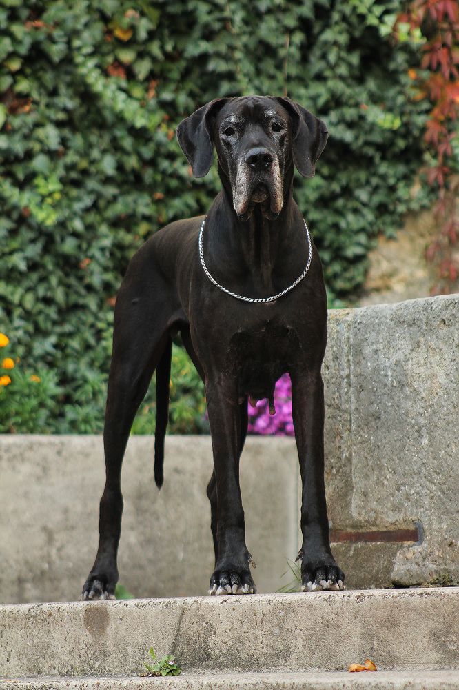 Photograph by Диана Ульянцева