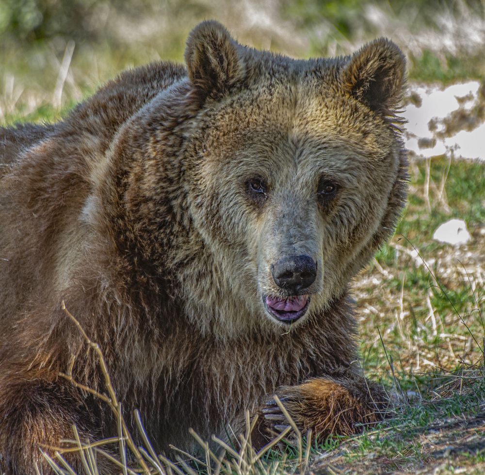Photograph by Сергей Савчук