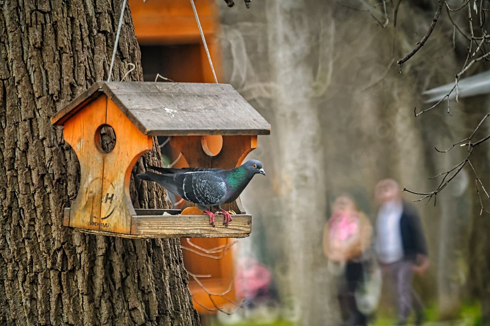 Photograph by Владимир Кваша