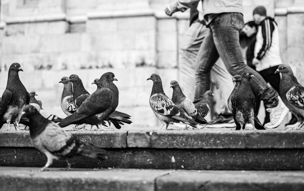 Фотография автора Lina María González Triana