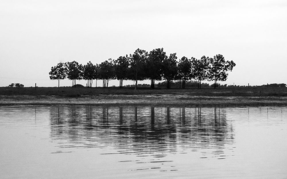 Фотография автора Lina María González Triana