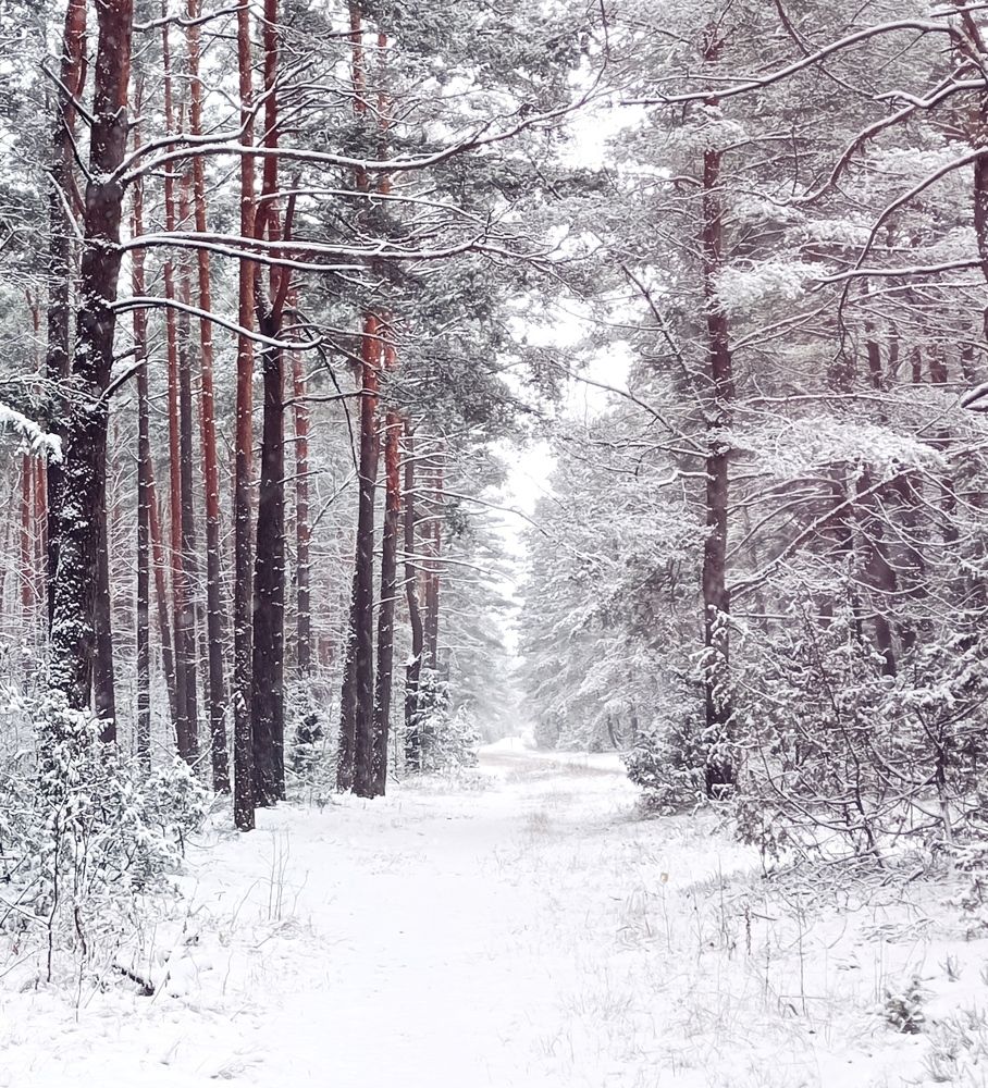 Photograph by Марта Літвінава