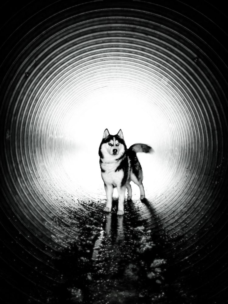 Photograph by Марта Літвінава