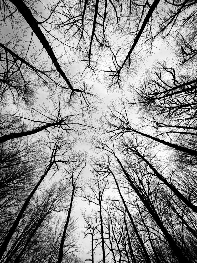 Photograph by Mostafa Mortazavi