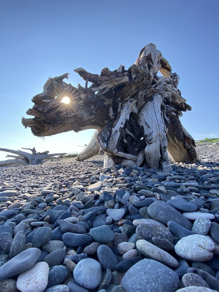 Фотография автора Наталья Вертугина