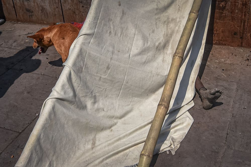 Photograph by SOUMAYAN BISWAS