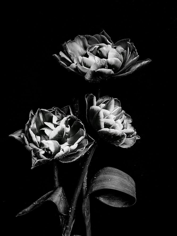 Photograph by Олена Уманцева