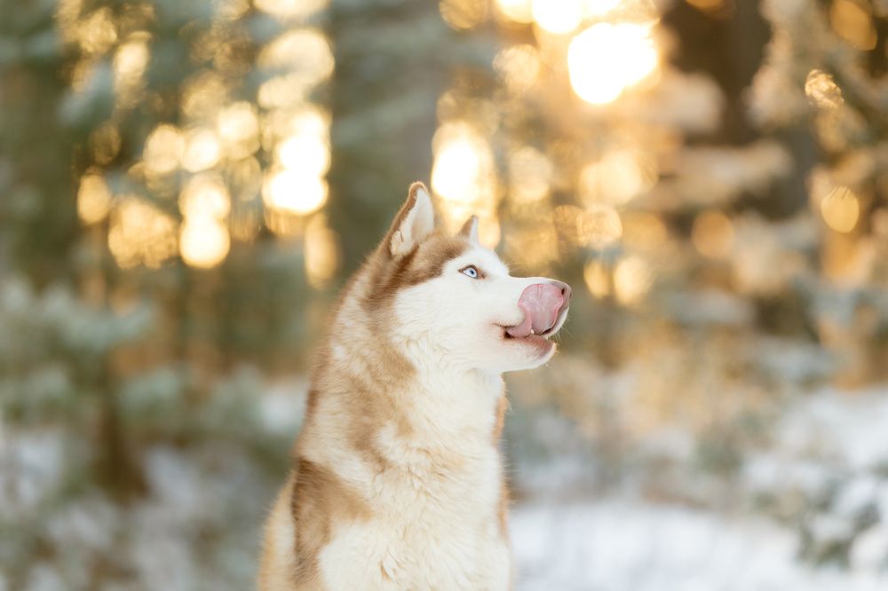 Photograph by Анастасия Байкалова