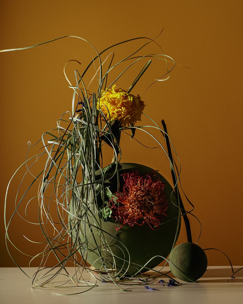 Photograph by Асель Рембекова