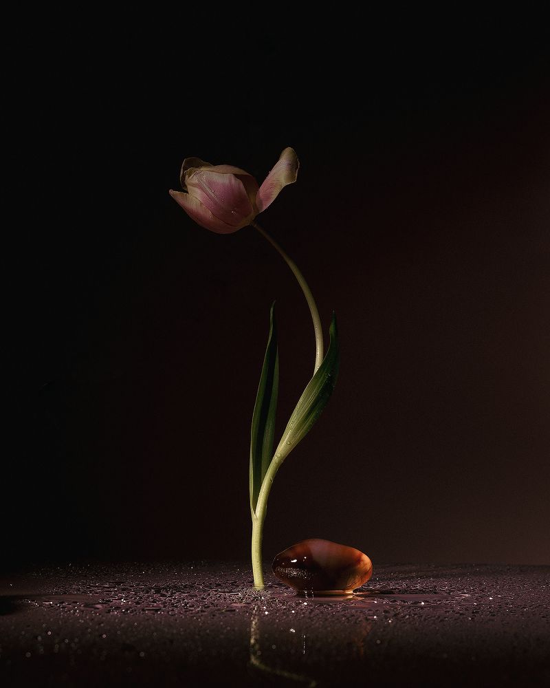 Photograph by Асель Рембекова