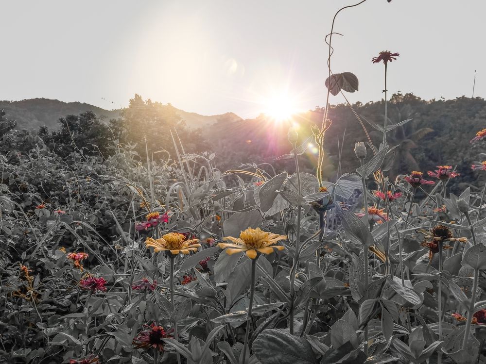 Photograph by Shekina Mie Miguel