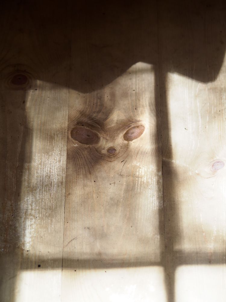 Photograph by Михаил Носков