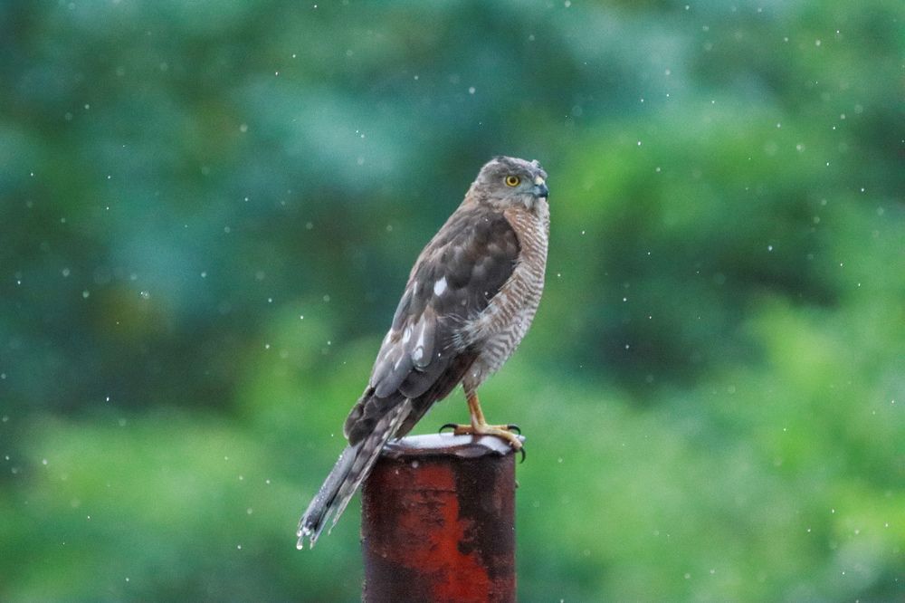 Photograph by tarun singh