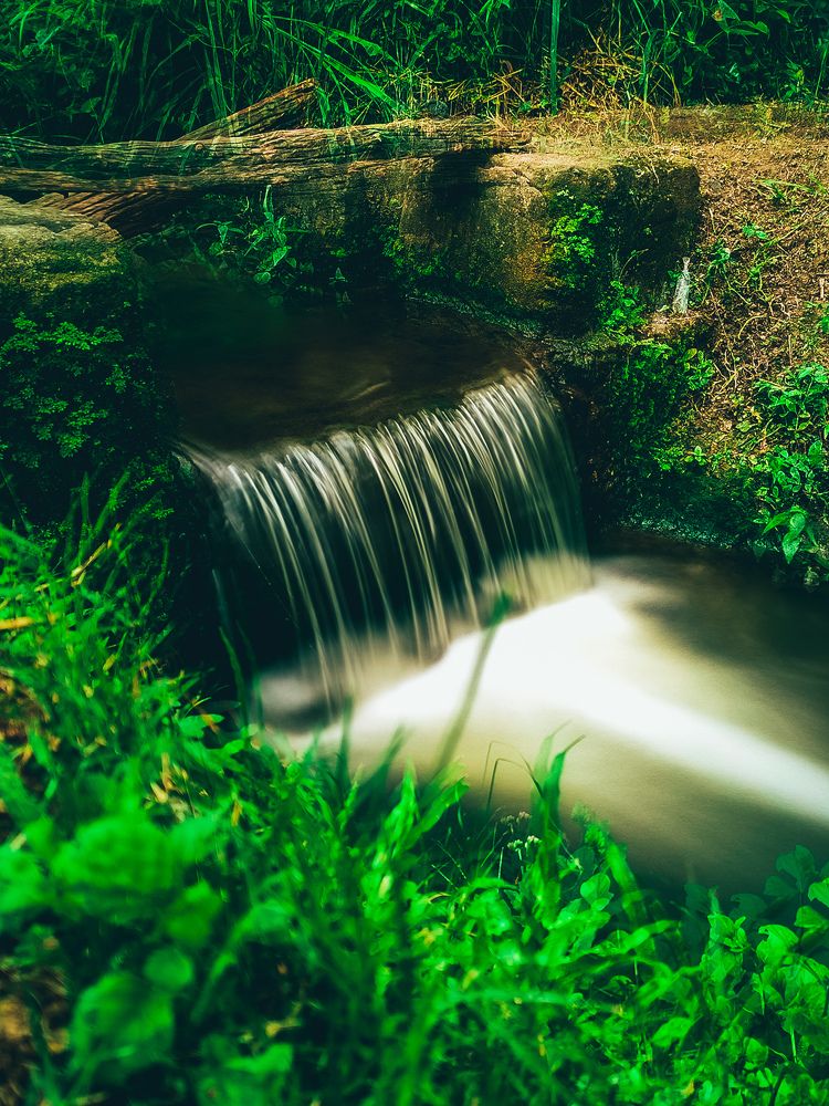 Фотография автора DAVIDJHON Gusi