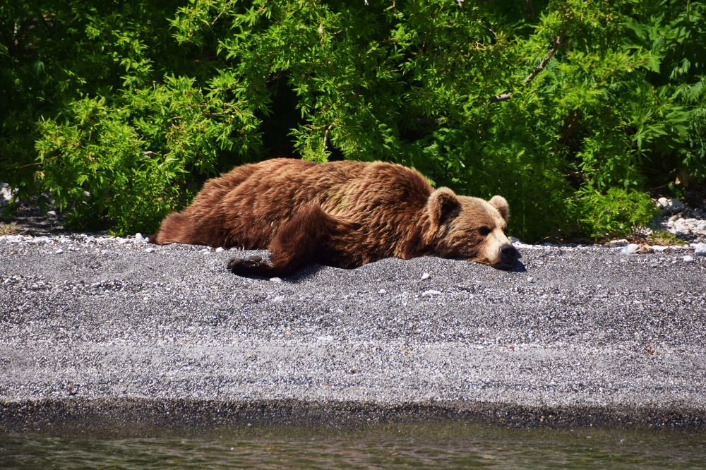 Photograph by Алексей Новиков
