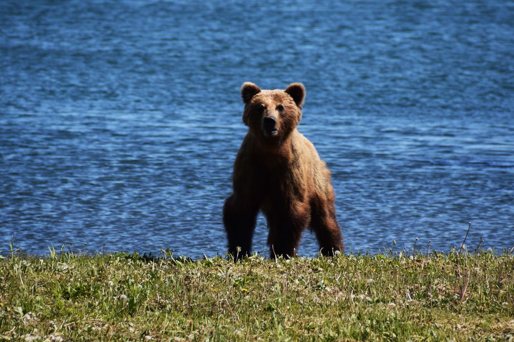 Photograph by Алексей Новиков
