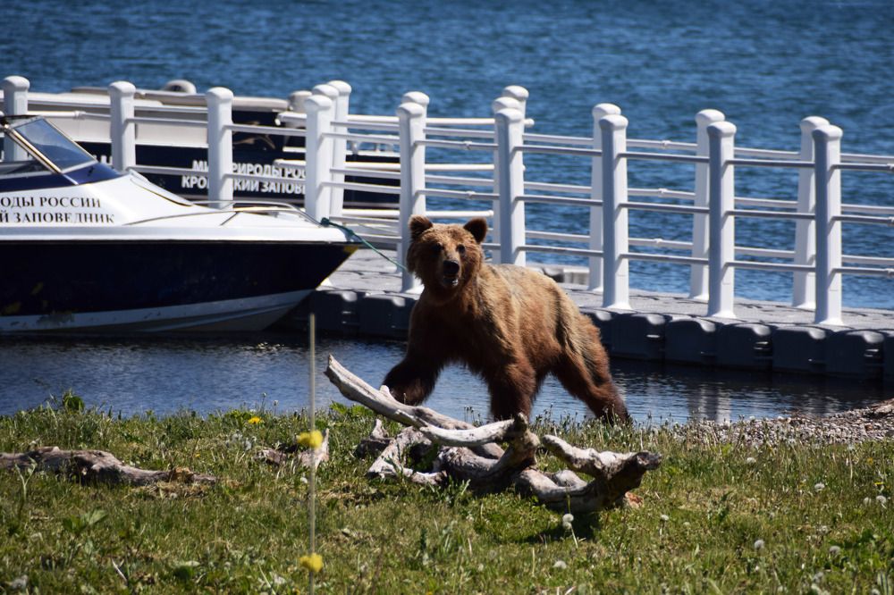 Photograph by Алексей Новиков