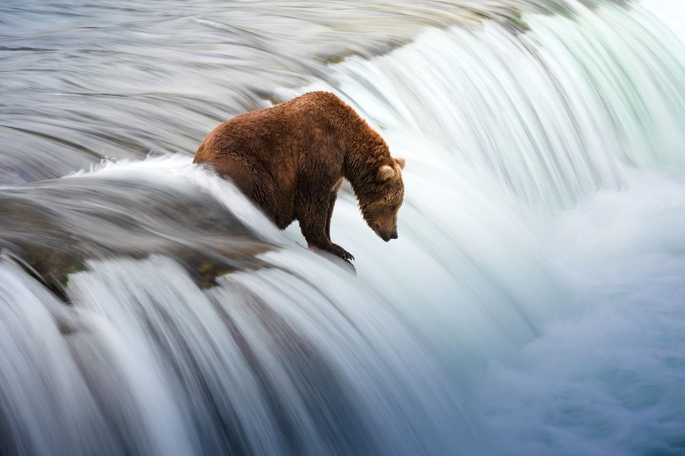 Photograph by Karthik Subramaniam