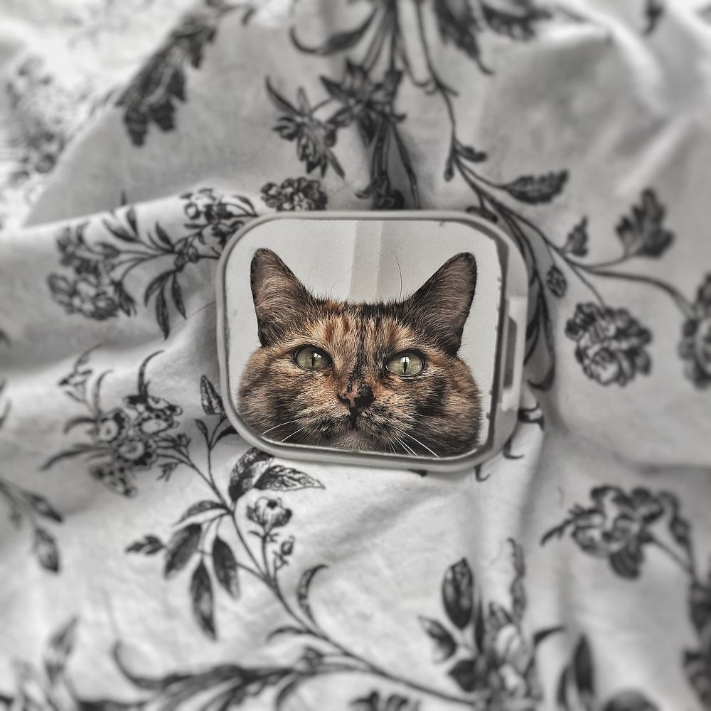 Photograph by Ирина Щербакова