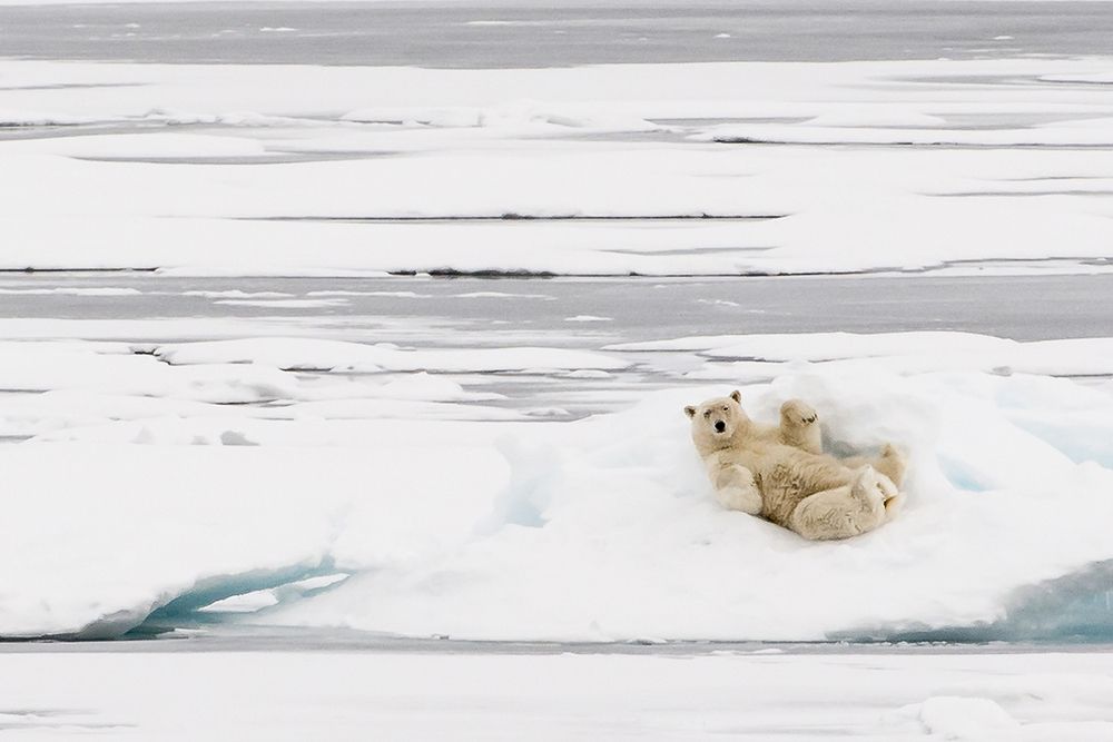 Photograph by giorgio scala