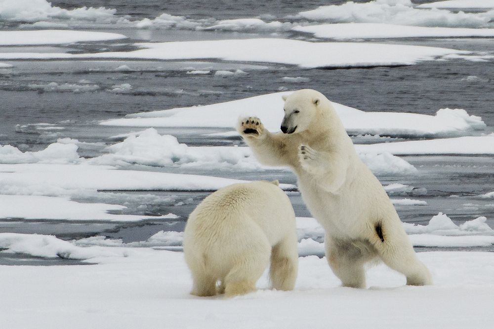 Photograph by giorgio scala