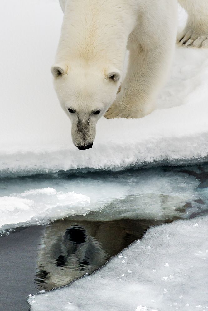 Фотография автора giorgio scala