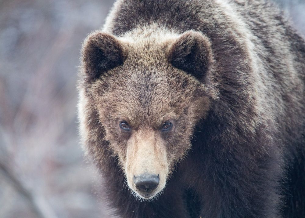 Фотография автора Юлия Егорова