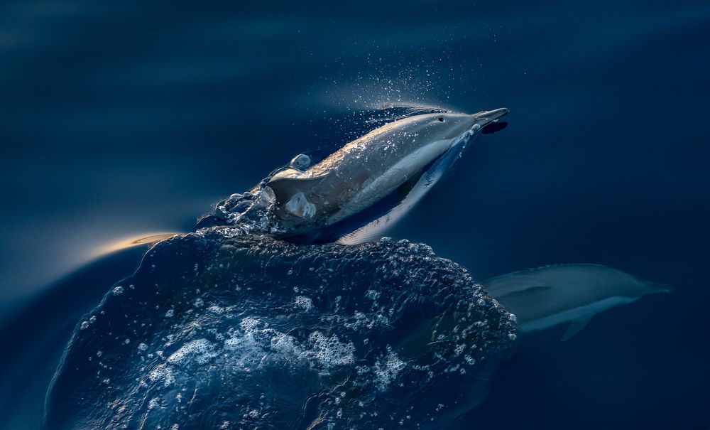 Встреча миров