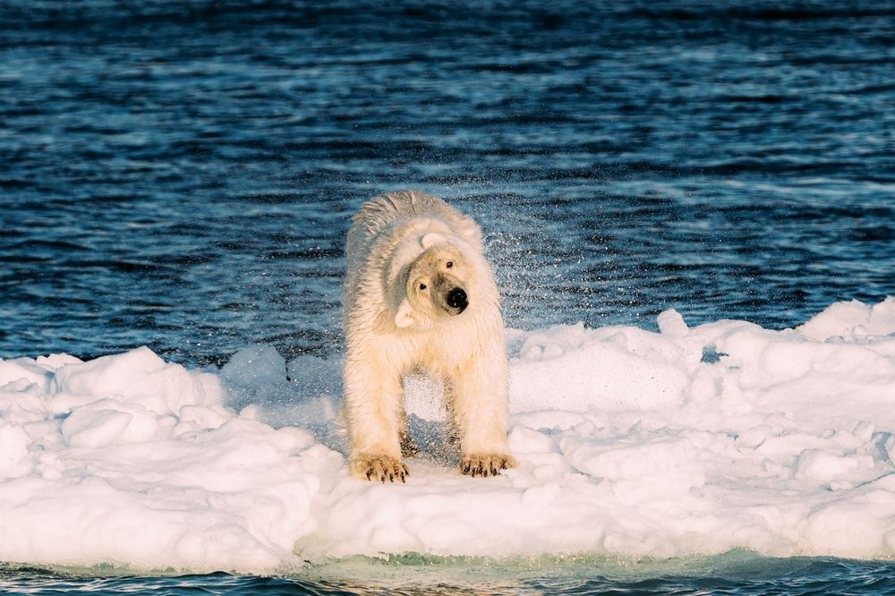 Photograph by Вольнов Артём