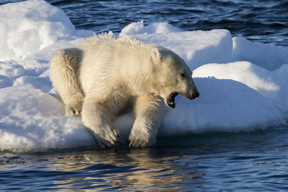 Photograph by Вольнов Артём