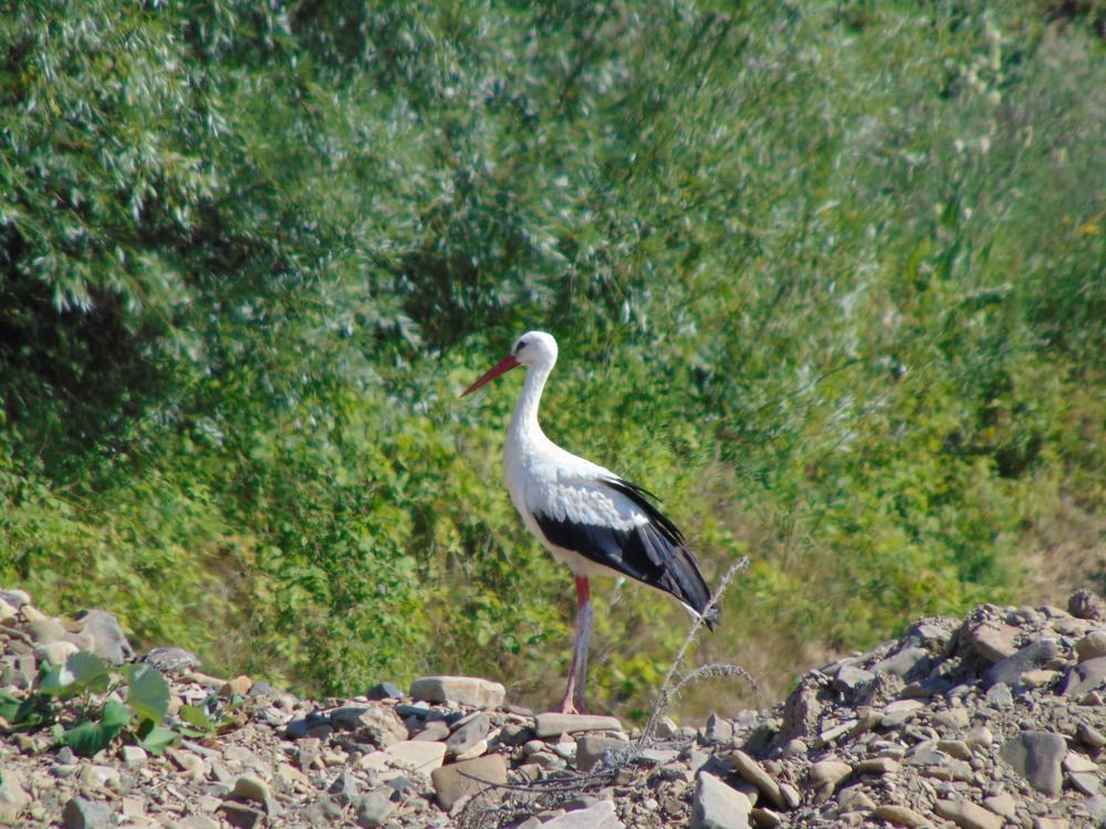 Photograph by Anna Veľasová