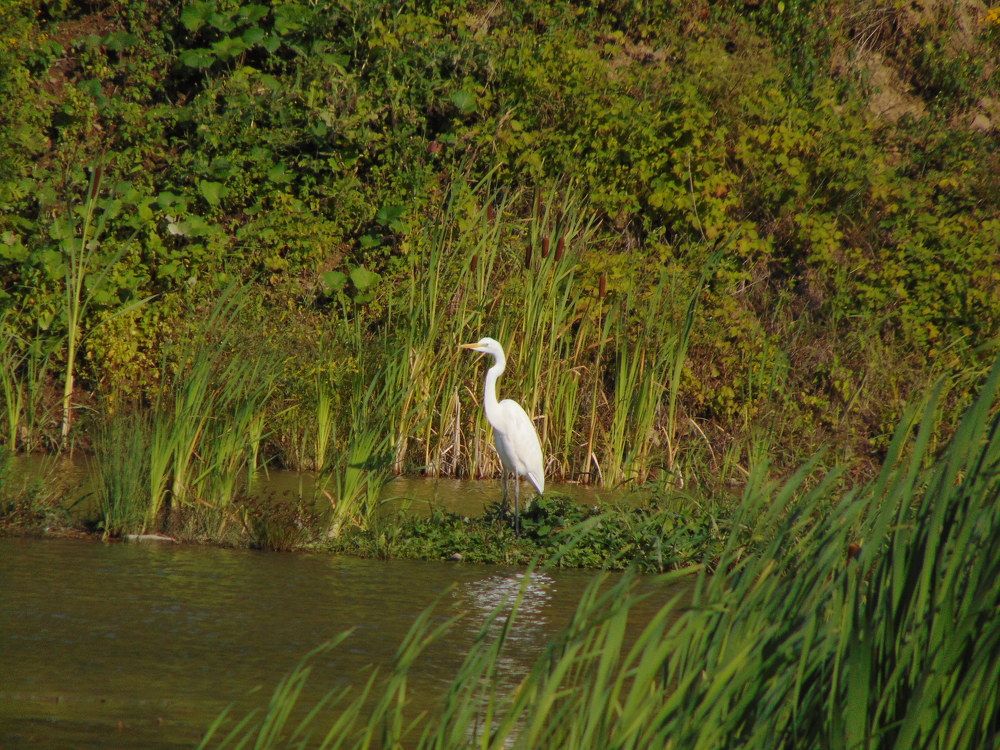 Photograph by Anna Veľasová