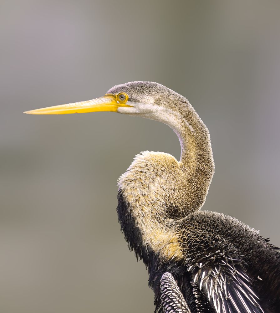 Photograph by prasenjit sinha