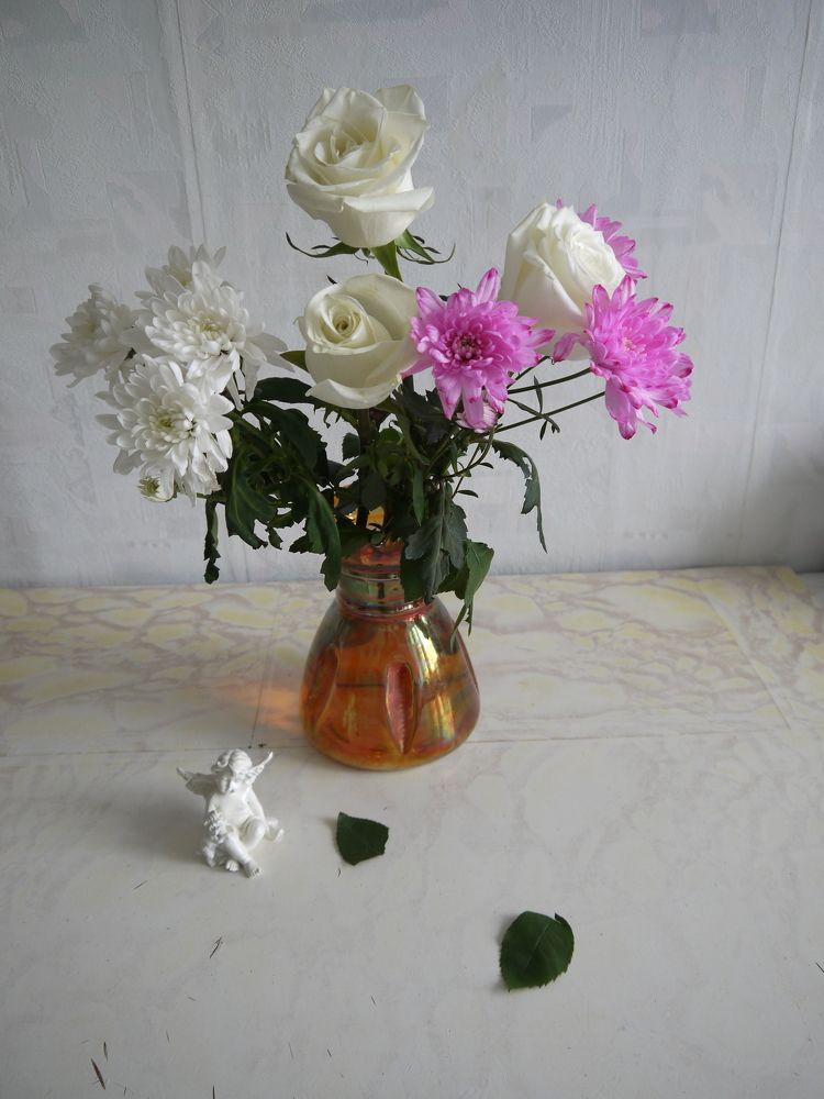 Фотография автора Клавдия Васильева