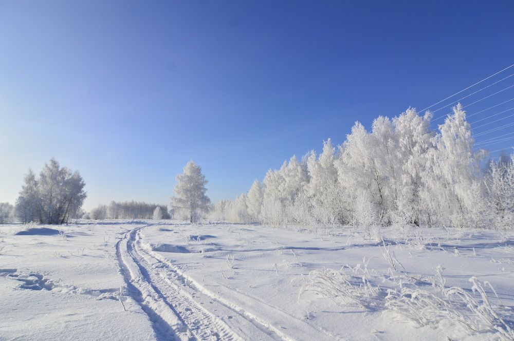 Фотография автора Клавдия Васильева