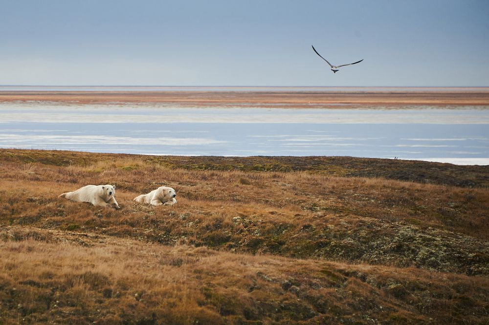 Photograph by Сергей Пузырев