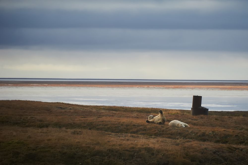 Photograph by Сергей Пузырев