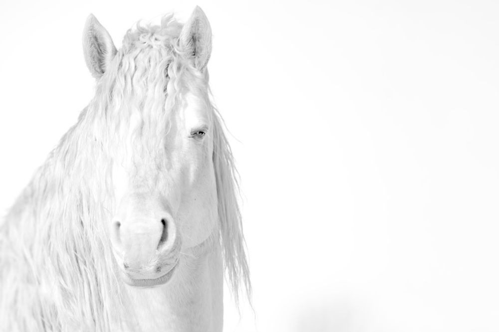 Photograph by Raghuvamsh Chavali