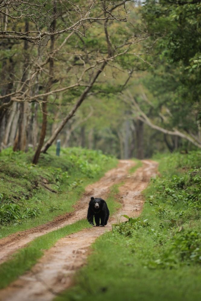 Photograph by Kalyan Chakraborty