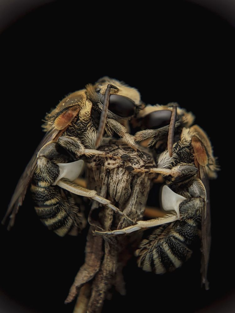 Photograph by Shahrul_Laili