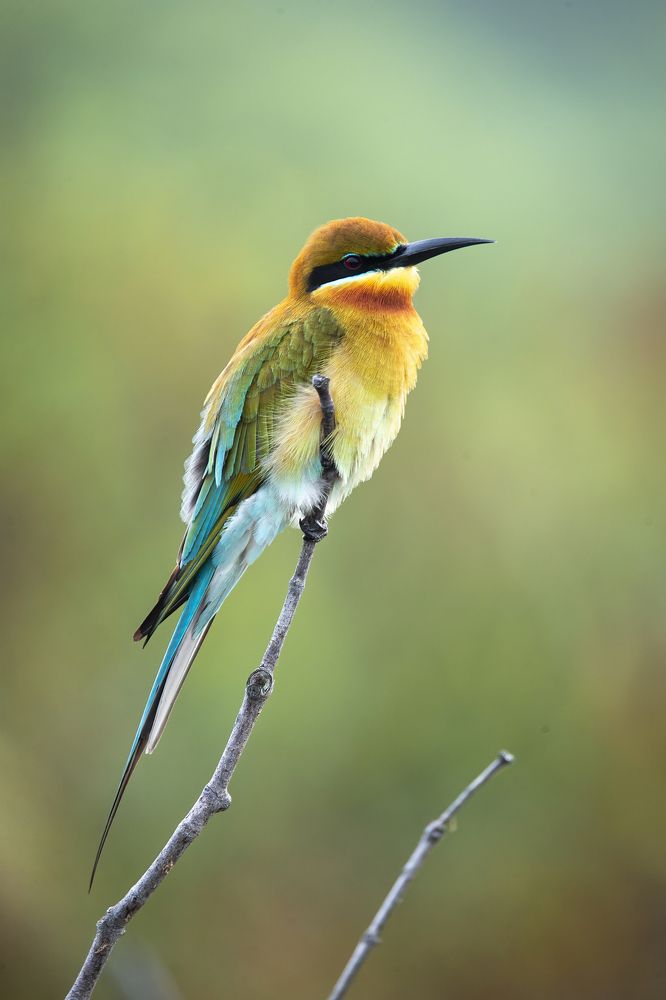 Photograph by Nguyenphoto