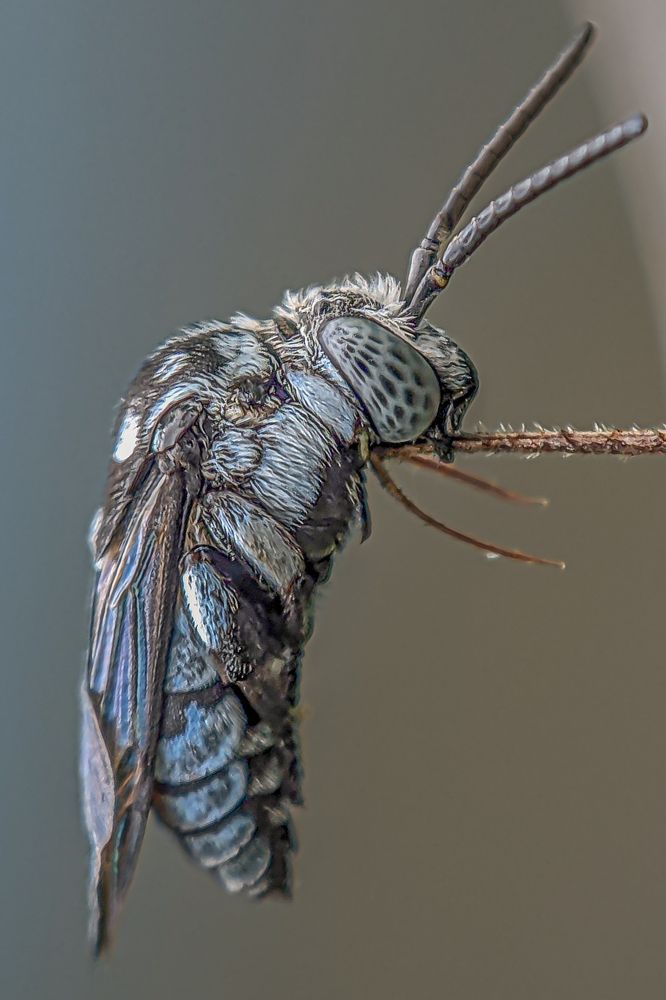 Photograph by Shahrul_Laili