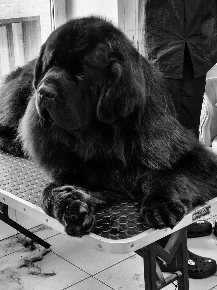 Photograph by Марина