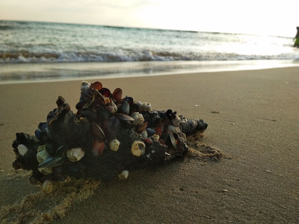 Photograph by Daria Kirina