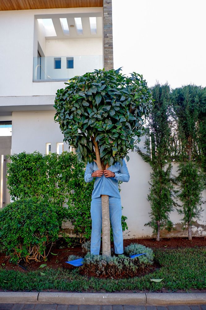 Photograph by Jossephee