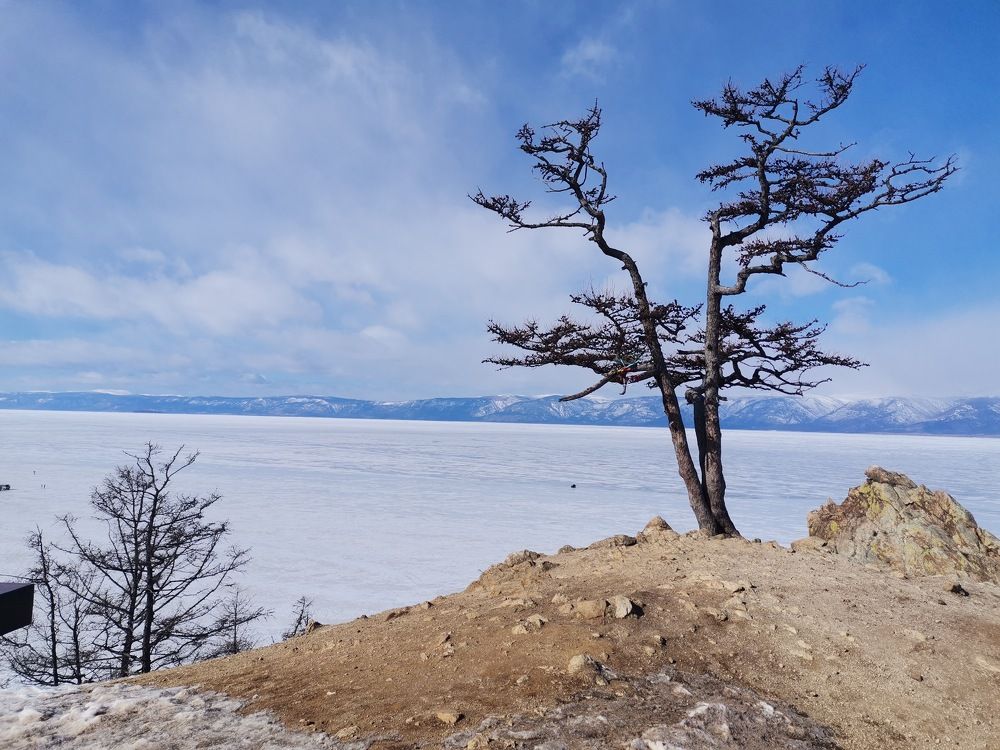 Photograph by Ирина Садовникова