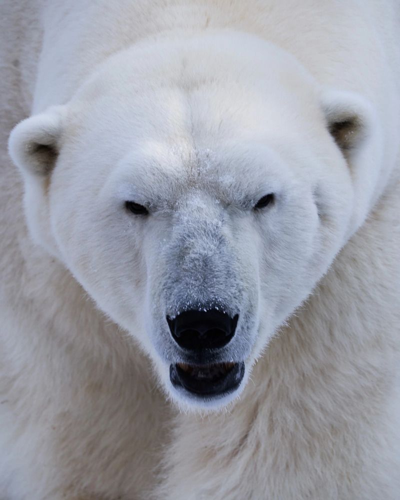 Photograph by Yuli Lerou